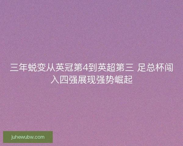 三年蜕变从英冠第4到英超第三 足总杯闯入四强展现强势崛起