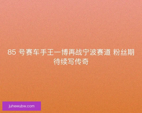 85 号赛车手王一博再战宁波赛道 粉丝期待续写传奇 85 号赛车手王一博再战宁波赛道 粉丝期待续写传奇