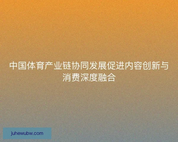 中国体育产业链协同发展促进内容创新与消费深度融合